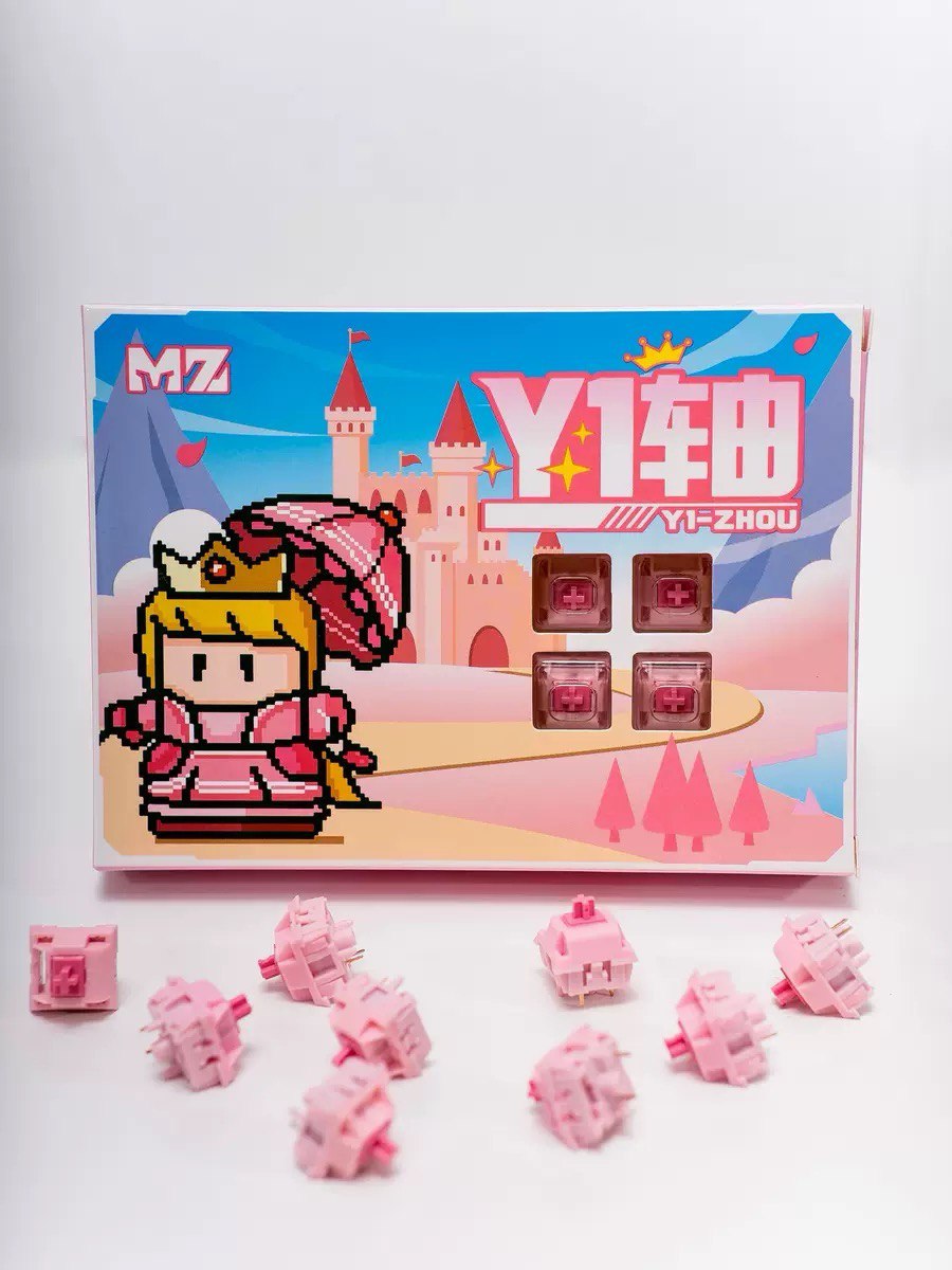 MZ Y1 Switch
